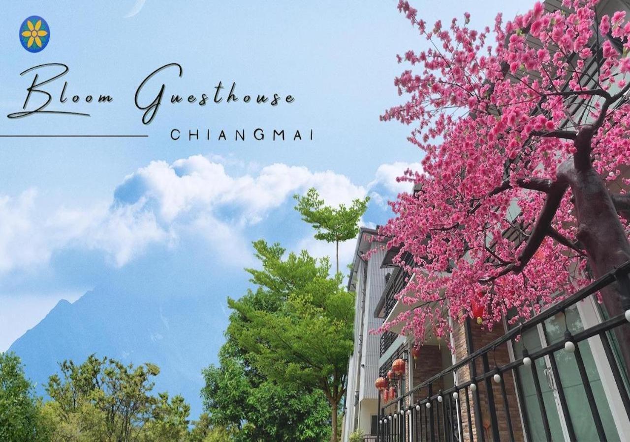 Bloom Guesthouse Chiang Mai Exterior photo